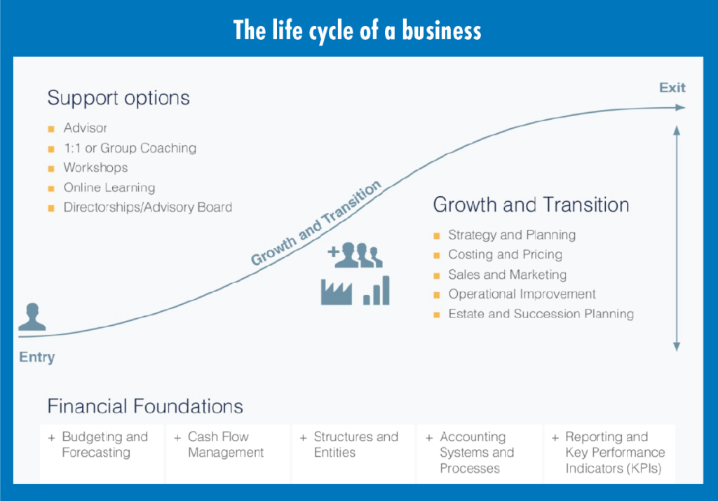 The life cycle of a business