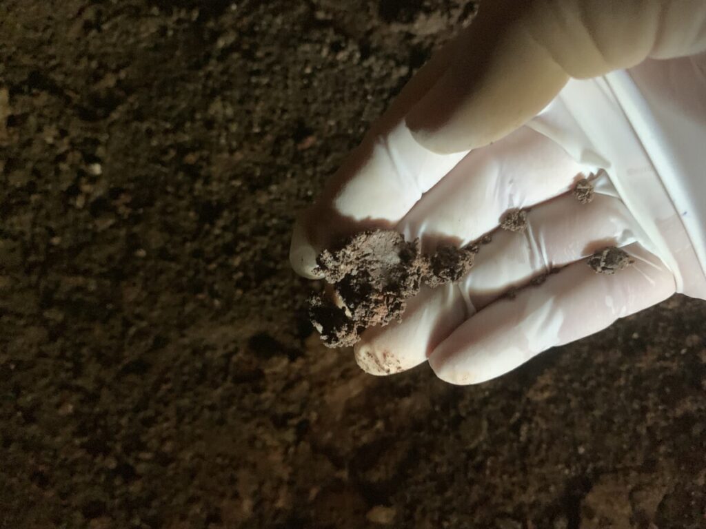 Why is my floor cupping? PlaceMakers